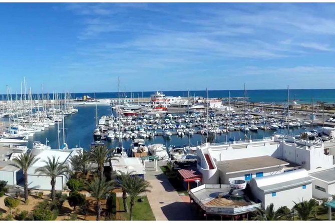 1 day excursion Tunis Sidi Bousaid Carthage departure from Sousse - Who should book this excursion
