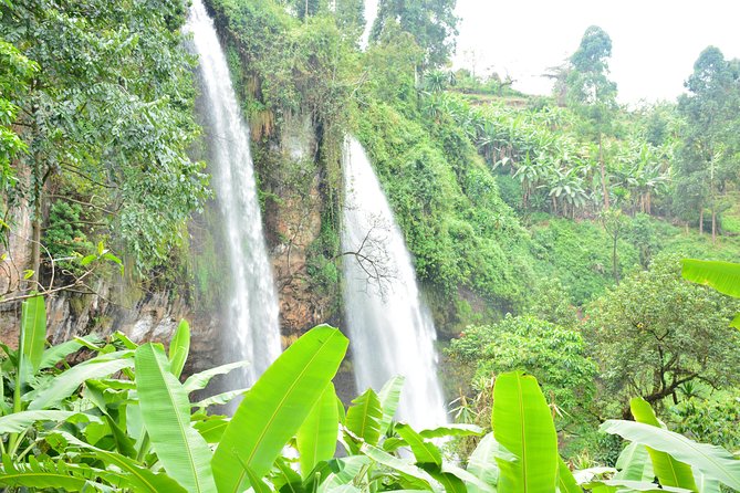 1 Day Sipi falls hike - How hard is the hike?
