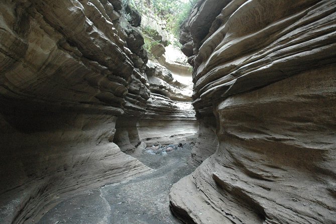 1 Day trip to Hells Gate and Lake Naivasha From Nairobi - Looking up for eagles and vultures