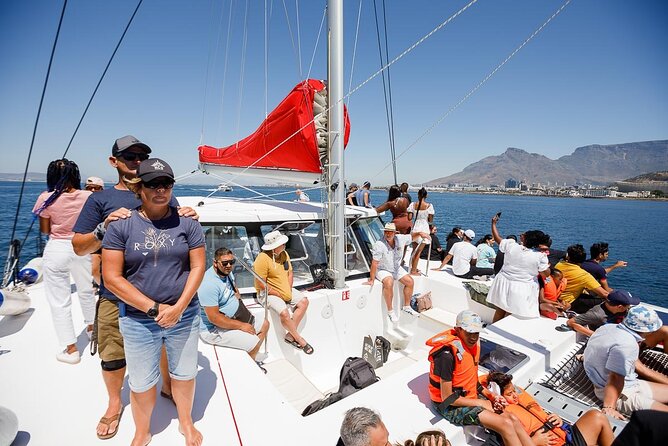 1- Hour Catamaran Cruise Cape Town - What this Cape Town cruise is really like