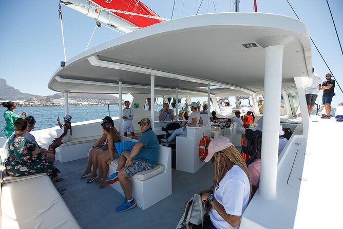 1- Hour Catamaran Cruise Cape Town - What you see from the deck