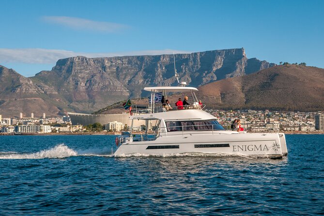 1 Hour Coastal Catamaran Cruise from Cape Town - A quick hour on Cape Town’s Atlantic coast