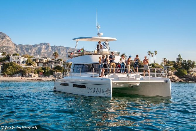1 Hour Coastal Catamaran Cruise from Cape Town - Wildlife is a bonus, not the promise