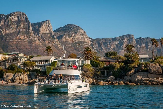 1 Hour Coastal Catamaran Cruise from Cape Town - The boat question deserves attention