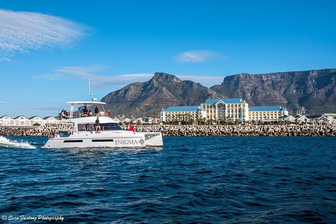 1 Hour Coastal Catamaran Cruise from Cape Town - Is $21.28 good value for one hour?