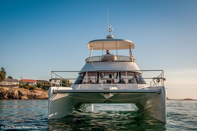 1 Hour Coastal Catamaran Cruise from Cape Town - Choosing the best time of day