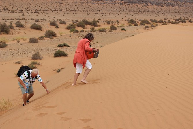 1 night in desert from Agadir - Sunset, dinner, and Sahraoui music