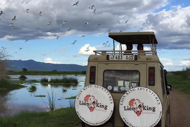 12 days Luxury Tanzania Honeymoon Safari and Zanzibar - Why this safari and beach pairing works