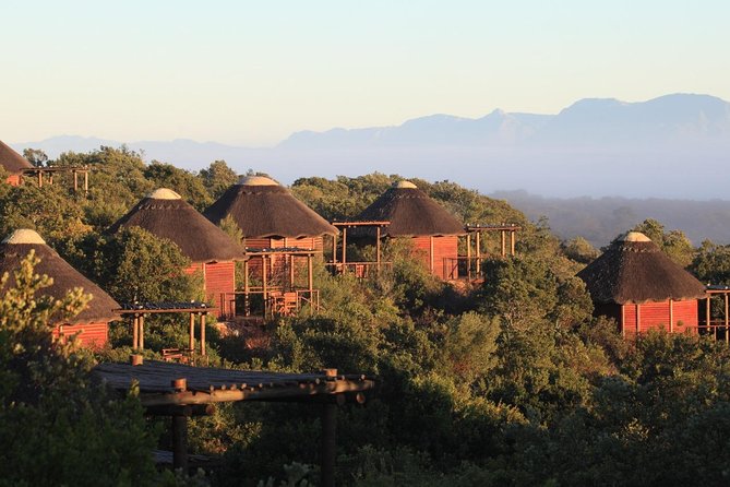 2 Day Safari Experience from Cape Town - One packed road trip from Cape Town to the African bush