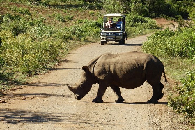 2 Day South African Wildlife Tour with 4x4 Safari from Cape Town - Why this Cape Town safari works in only two days