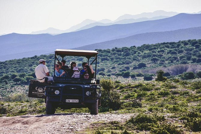 2 Day South African Wildlife Tour with 4x4 Safari from Cape Town - Accommodation, meals, and daily comfort