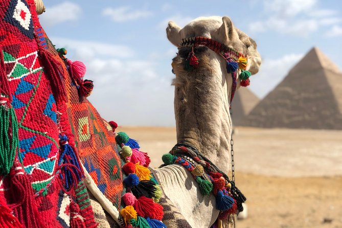 2 days cairo and giza attractions plus Gem, private tour - What the $90 price really covers