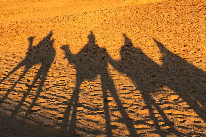 2 days cairo and giza attractions plus Gem, private tour - Memphis and the colossal statue of Ramses II