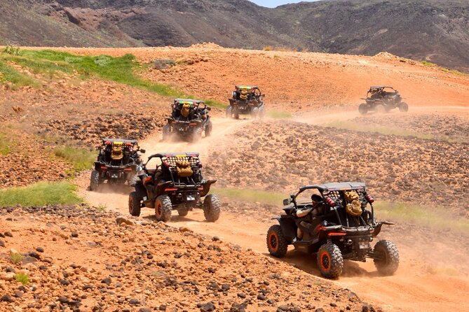 2h SSV Buggy Desert Adventure - 1000cc or 500cc - Kite Beach, Serra Negra, and turtle country