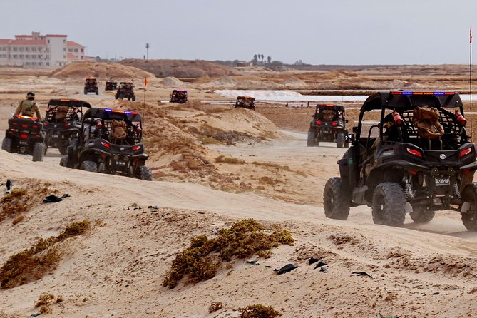 2h SSV Buggy Desert Adventure - 1000cc or 500cc - Ponta Preta and the changing color of the coast