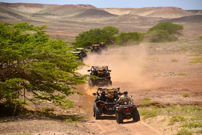 2h SSV Buggy Desert Adventure - 1000cc or 500cc - What the 500cc and 1000cc choices really mean