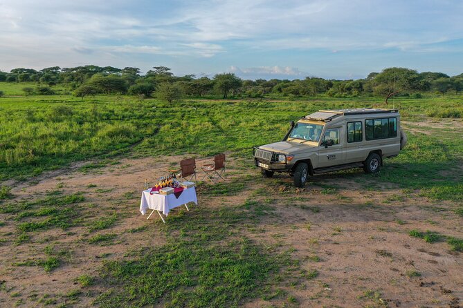 3-Day Classic Serengeti Safari - Who will get the most from these three days