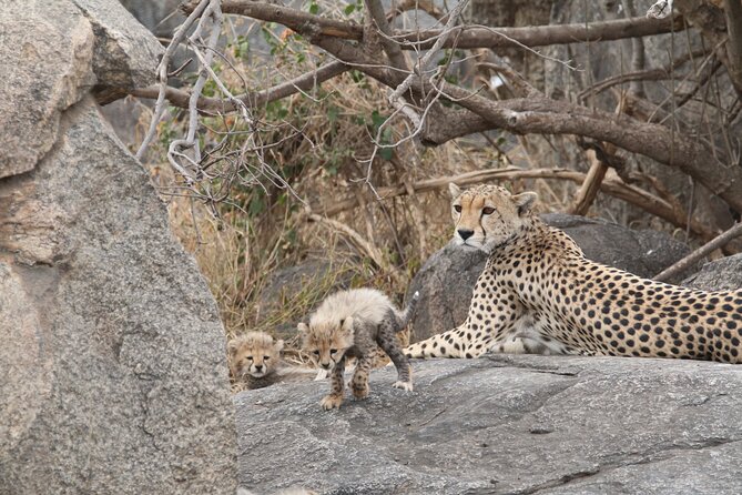3-Day Classic Serengeti Safari - Day one: from Arusha to the Serengeti plains