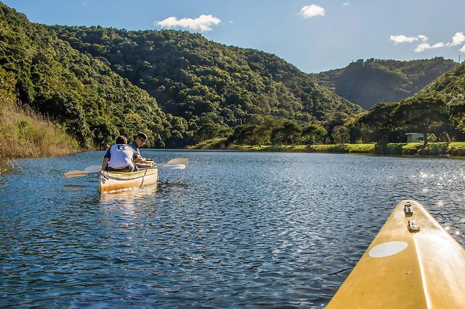 3 Day Garden Route's Best Highlights with Safari from Cape Town - Day three: Botlierskop safari before the long return