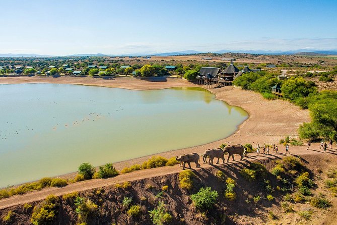3 Day Garden Route's Best Highlights with Safari from Cape Town - The guides can make or break the long drives