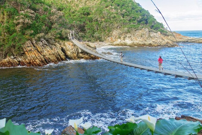 3 Day Garden Route's Best Highlights with Safari from Cape Town - Day two: Elephants, calm water, and Bloukrans Bridge