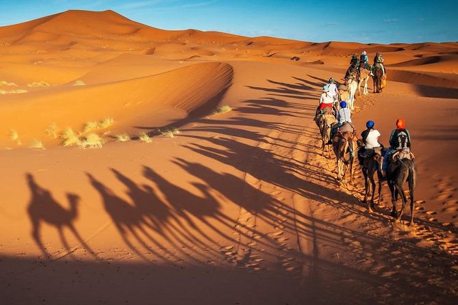 3-Day Marrakech to Fes Sahara Desert Tour via Merzouga - Who should book this tour?
