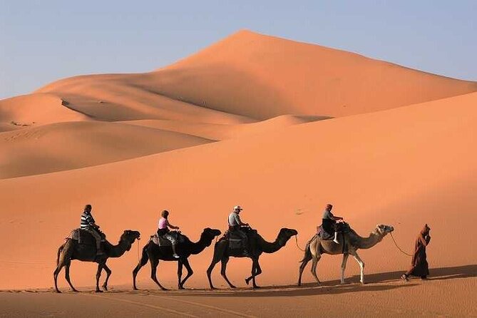 3-Day Marrakech to Merzouga Desert Tour: Camel Rides & Overnights - Guides, vehicles, and the group atmosphere