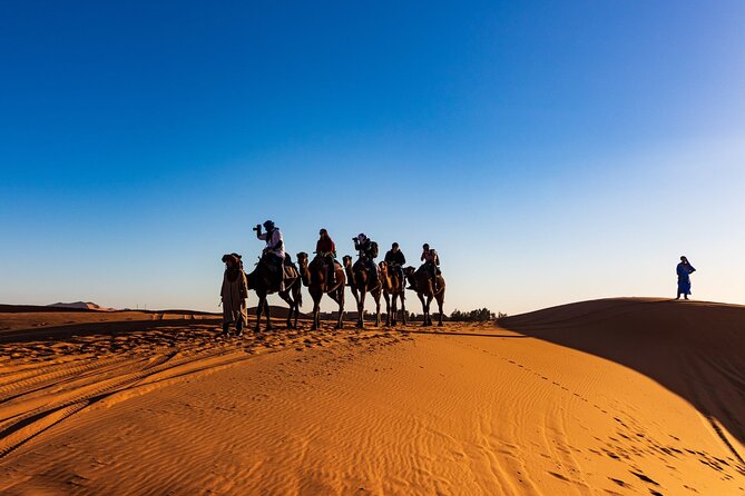3-Day Marrakech to Merzouga Desert Tour: Camel Rides & Overnights - Who should book this Morocco desert tour
