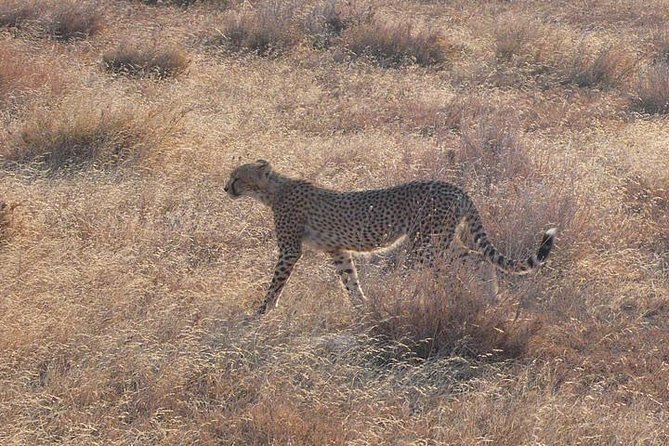 3 Day Masai Mara Safari - The five-hour return to Nairobi