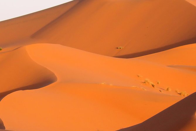 3-Day Tour to Merzouga Erg Chebbi with Food & Camel Trek - Skoura and the first overnight near the Dades Valley