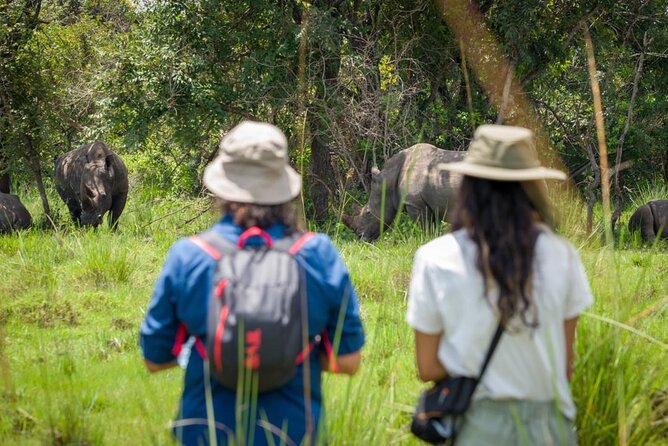 3 Days gorilla trekking Safari tour in Uganda - Day 1: Entebbe to Bwindi by way of Uganda’s changing scenery