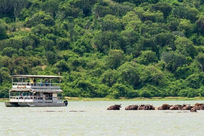 3 Days gorilla trekking Safari tour in Uganda - What the gorilla permit adds to the $2,600 price