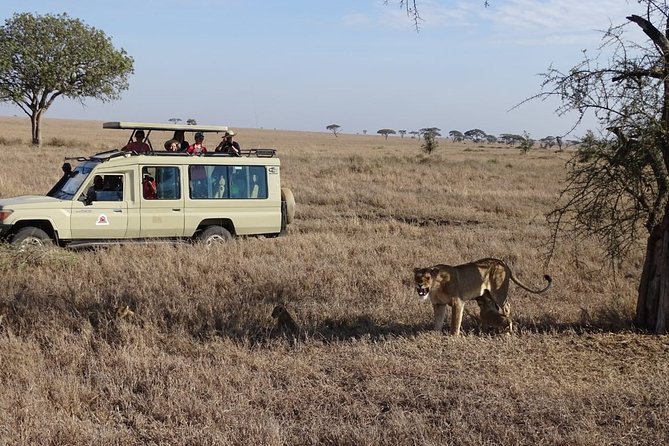 3 days group joining safari to Maasai Mara with a Land Cruiser Jeep - The guides can shape the whole experience