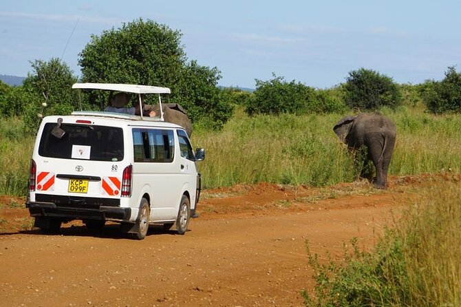 3 Days Maasai Mara Guided Safari from Nairobi - From Nairobi to the Great Rift Valley viewpoint