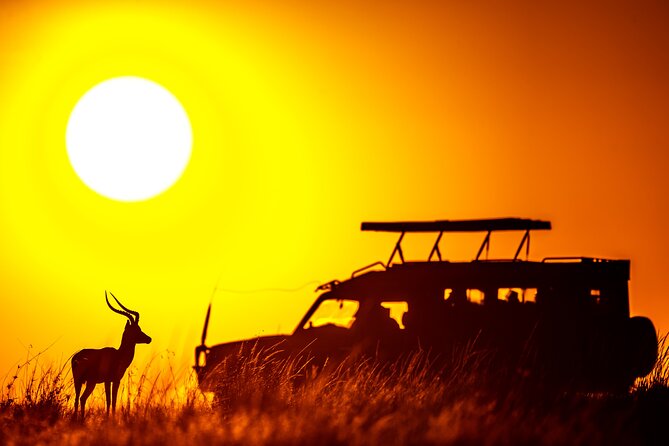 3 days Masai Mara on Private 4x4 Land Cruiser - Meals, Lodging, and What You Pay For