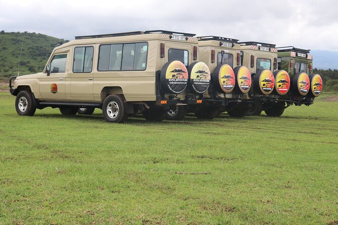 3 Days Private Safari - manyara, Ngorongoro & Tarangire - Timing, weather, and cancellation details