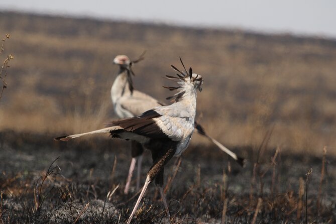 3 Days Tarangire, Ngorongoro & Lake Manyara Group Camping Safari - Is $700 good value for a camping safari?