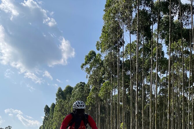 3 Hours Guided Cycling Tour Across Lake Victoria - The Rolex snack and included equipment
