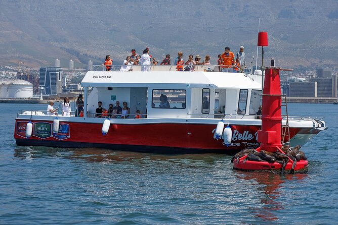 30min Harbour Boat Cruise Cape Town - A short cruise with a big Cape Town backdrop