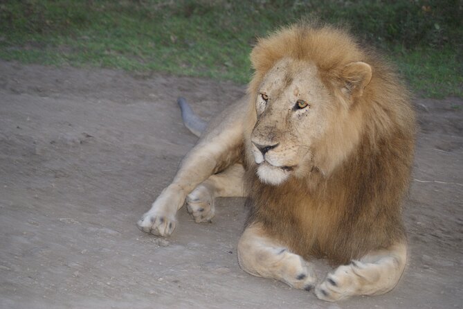 4 Days Group Camping Safari - Five things worth knowing before you book