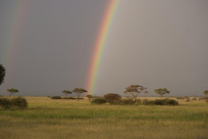 4 Days Group Camping Safari - Guides, group size, and the human side