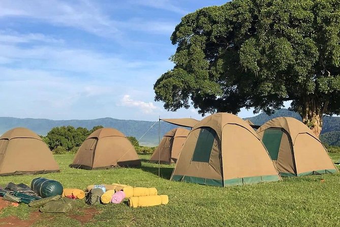 4 Days Join Group tour Tarangire Serengeti and Ngorongoro crater - Camping, meals, and the comfort tradeoff