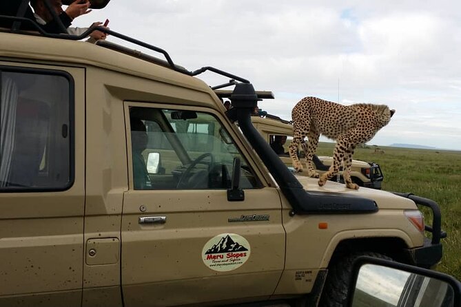 4 Days Join Group tour Tarangire Serengeti and Ngorongoro crater - Who should book this safari?