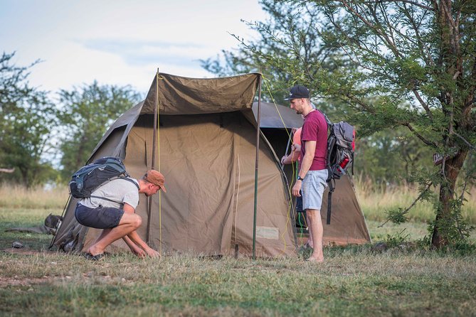 4 Days safari Tour Tanzania - Why this four-day route works