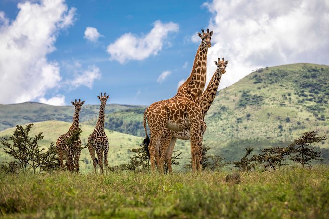 4 Days safari Tour Tanzania - Day two: The long road to the Serengeti