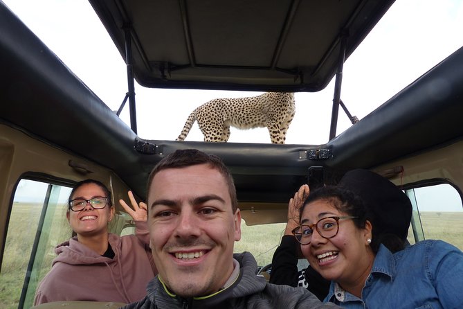 4 Days safari Tour Tanzania - Day three: Sunrise in the Serengeti