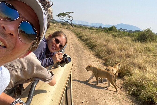 4 Days safari Tour Tanzania - What the private 4x4 changes