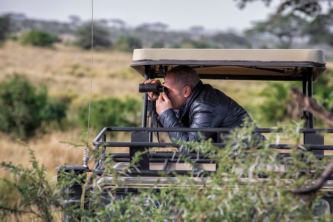 4 Days safari Tour Tanzania - Day one: Tarangire’s elephants and baobab country