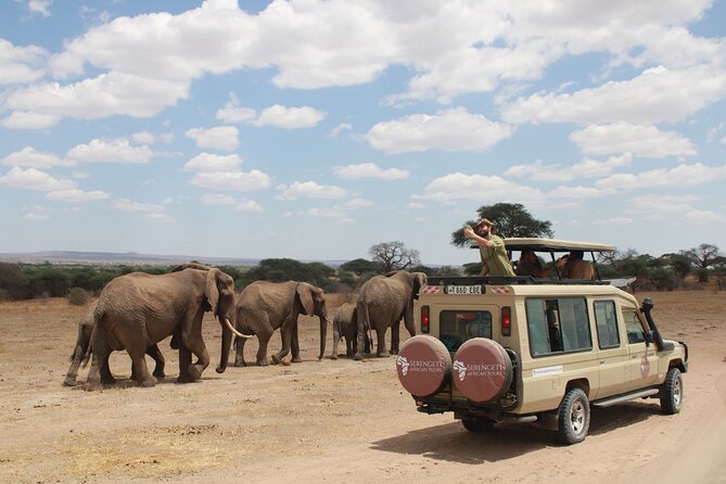 4 Days Tarangire Serengeti Ngorongoro Crater - What four days and $900 really buys you