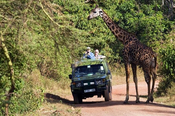 4 Days Tarangire Serengeti Ngorongoro Crater - Day four: down into the Ngorongoro Crater